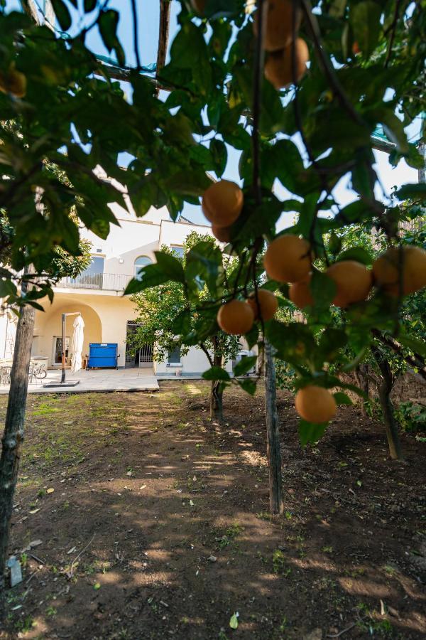 Pane E Marmellata Hotel Sant'Agnello Exterior photo