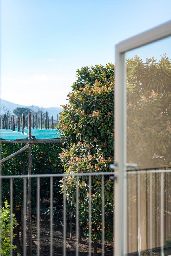 Pane E Marmellata Hotel Sant'Agnello Exterior photo